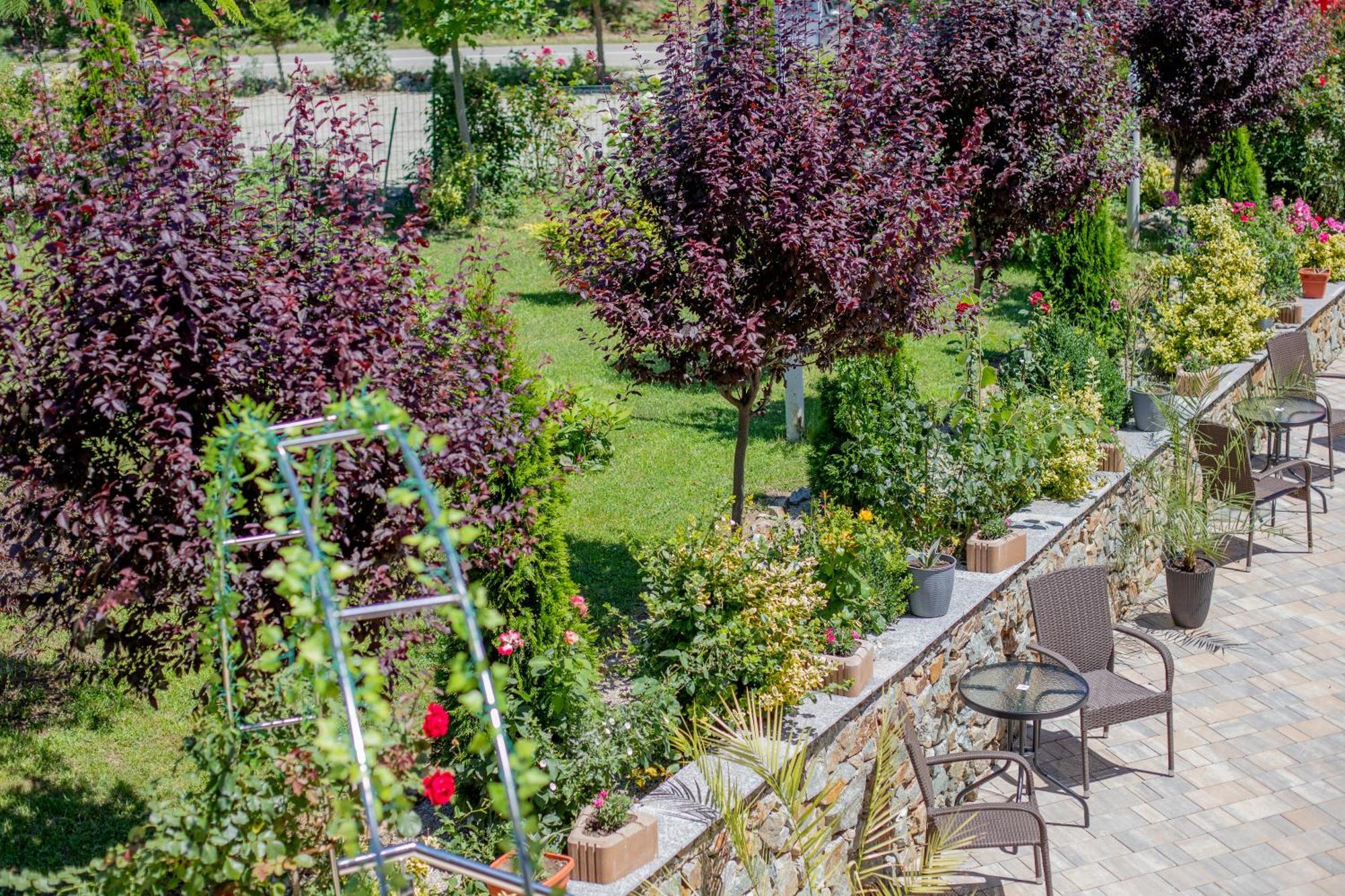 Rem Garden Novaci-Străini Exterior foto